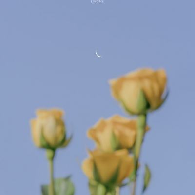 创造宇宙中文破解版下载
