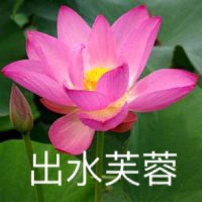 百度最q幻想手游下载